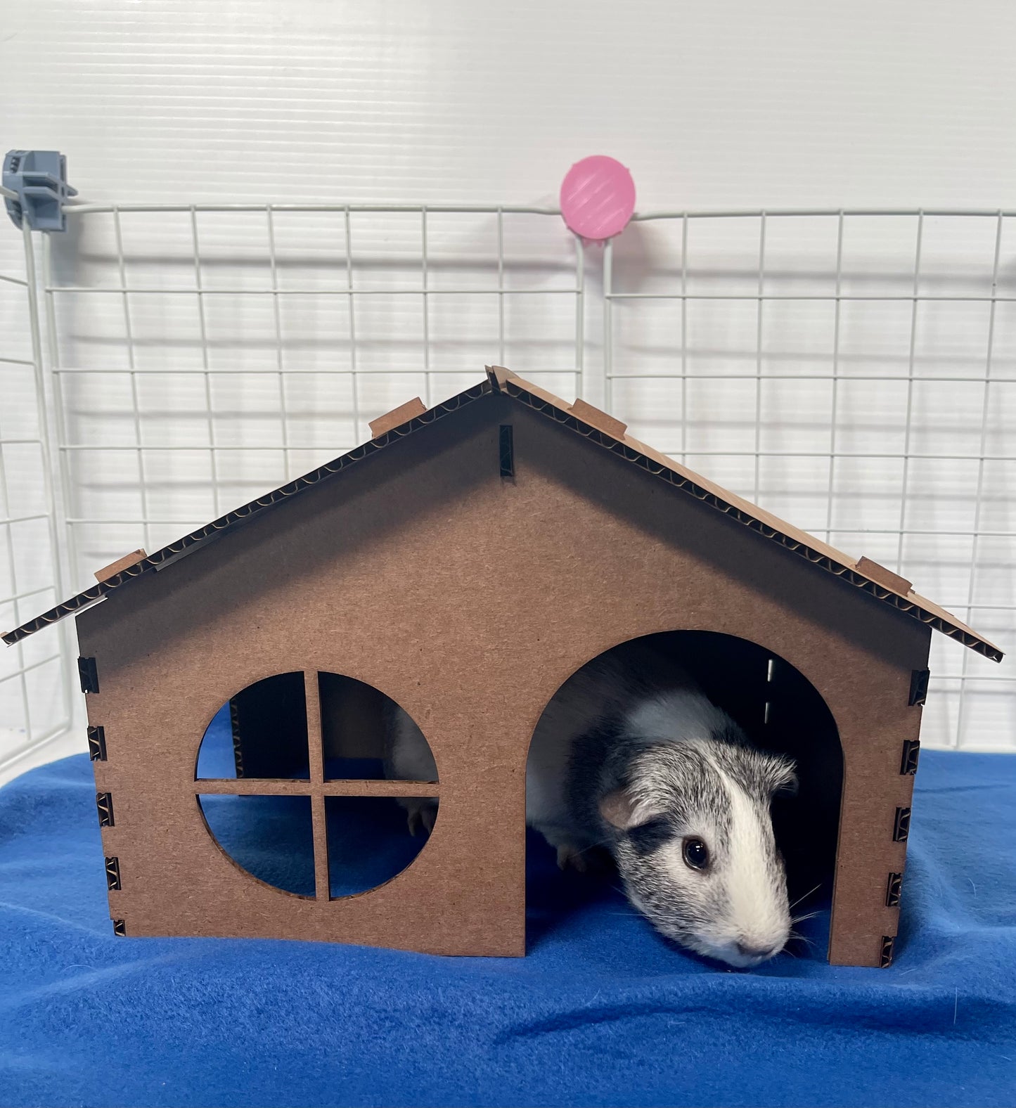 Cardboard Cabin Hidey