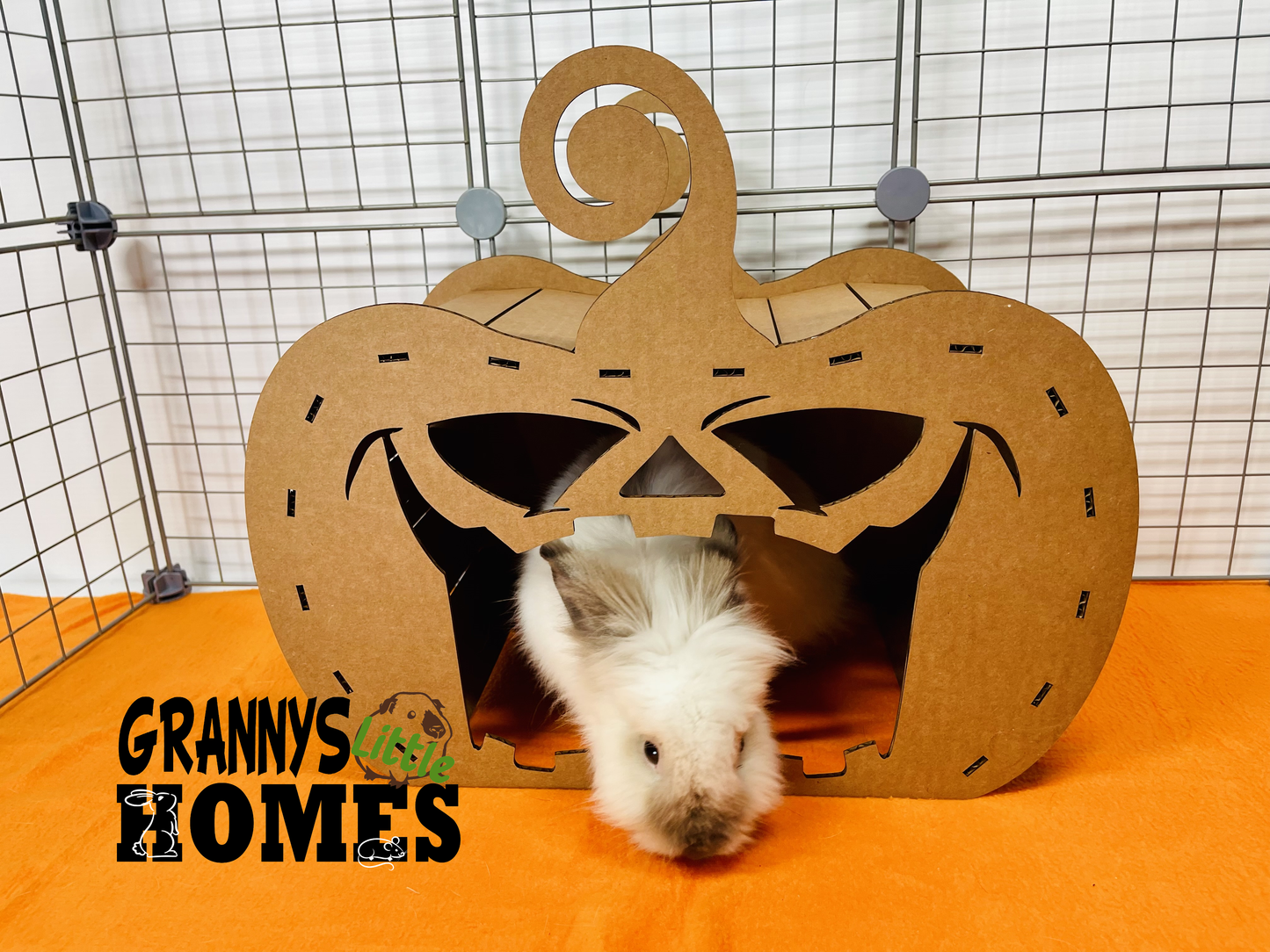 Cardboard Pumpkin Hidey