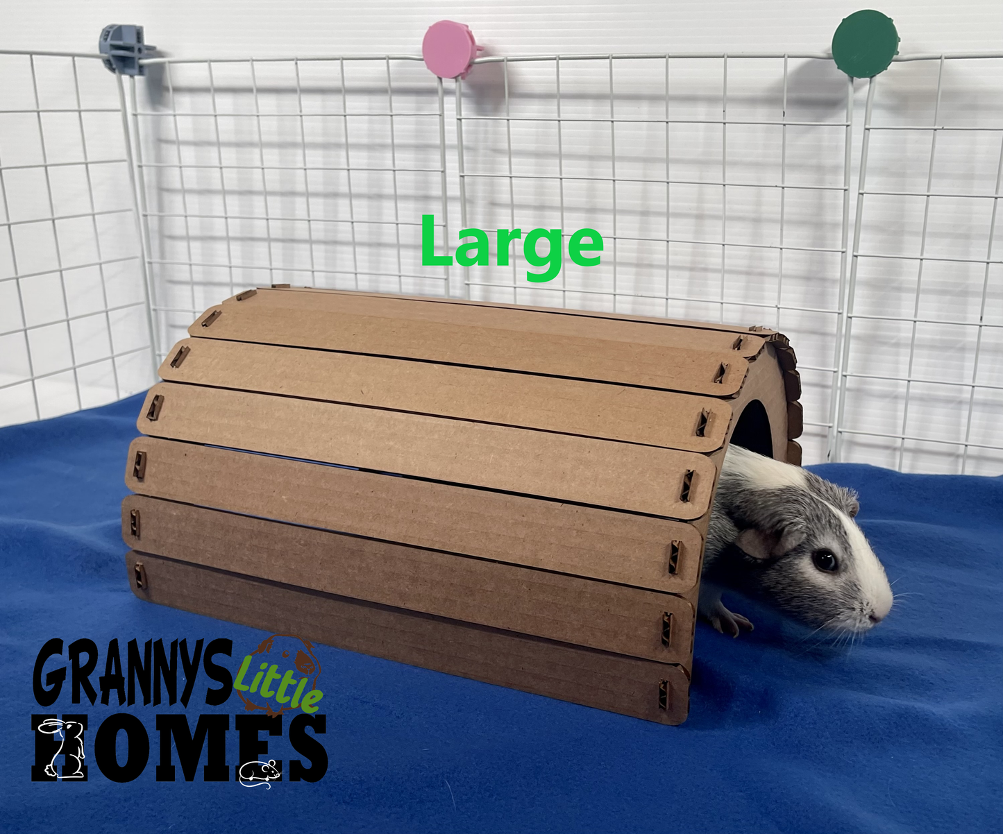 Cardboard Tunnel