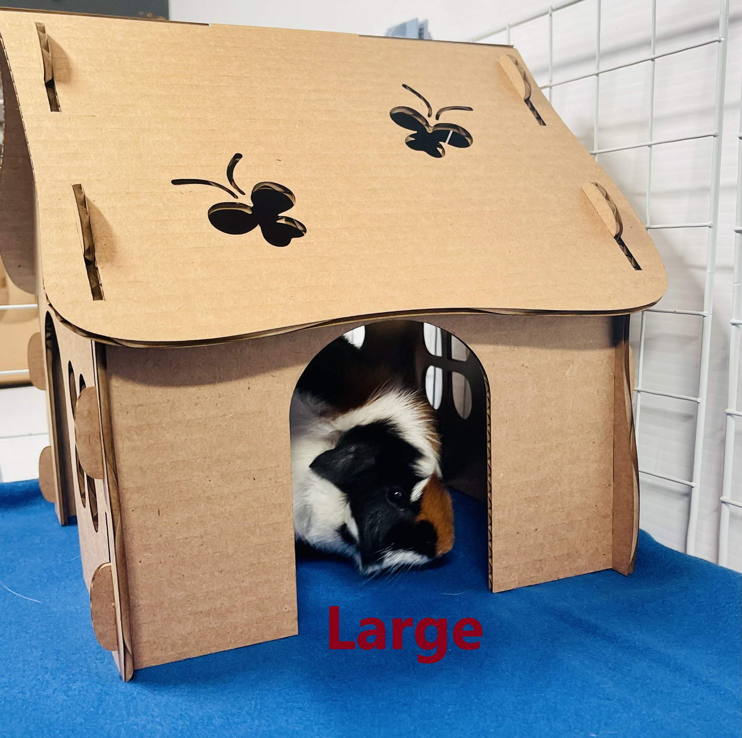 Cardboard Butterfly Hidey