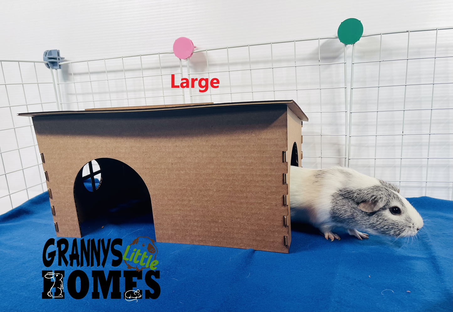 Cardboard Shed Hidey