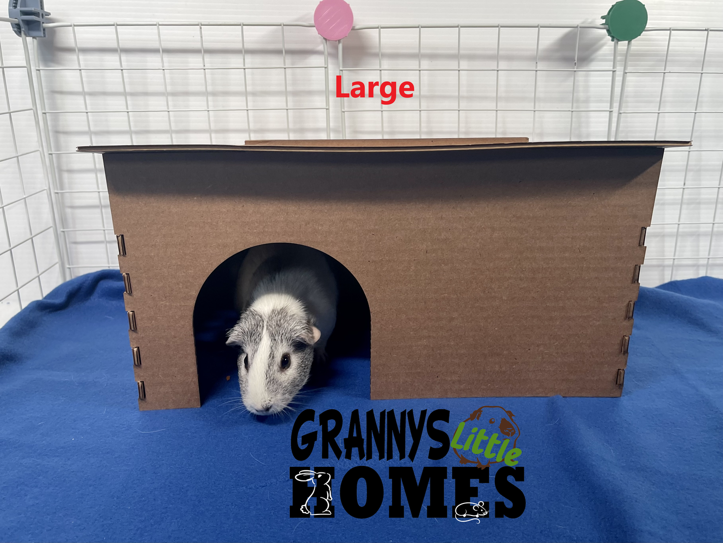 Cardboard Shed Hidey