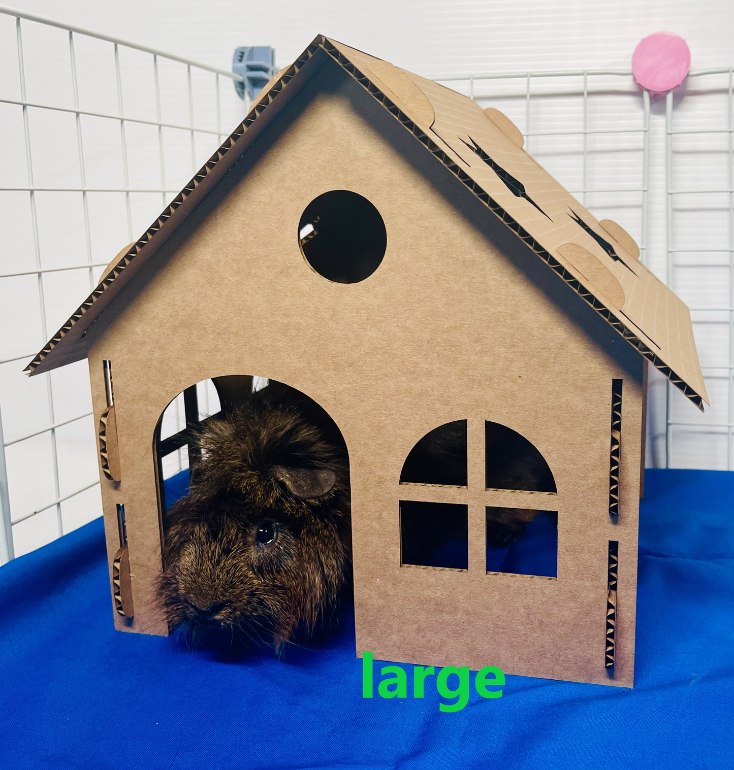 Cardboard Star Hidey