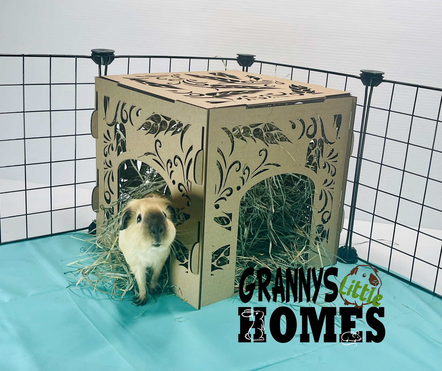 Cardboard Hay Holder