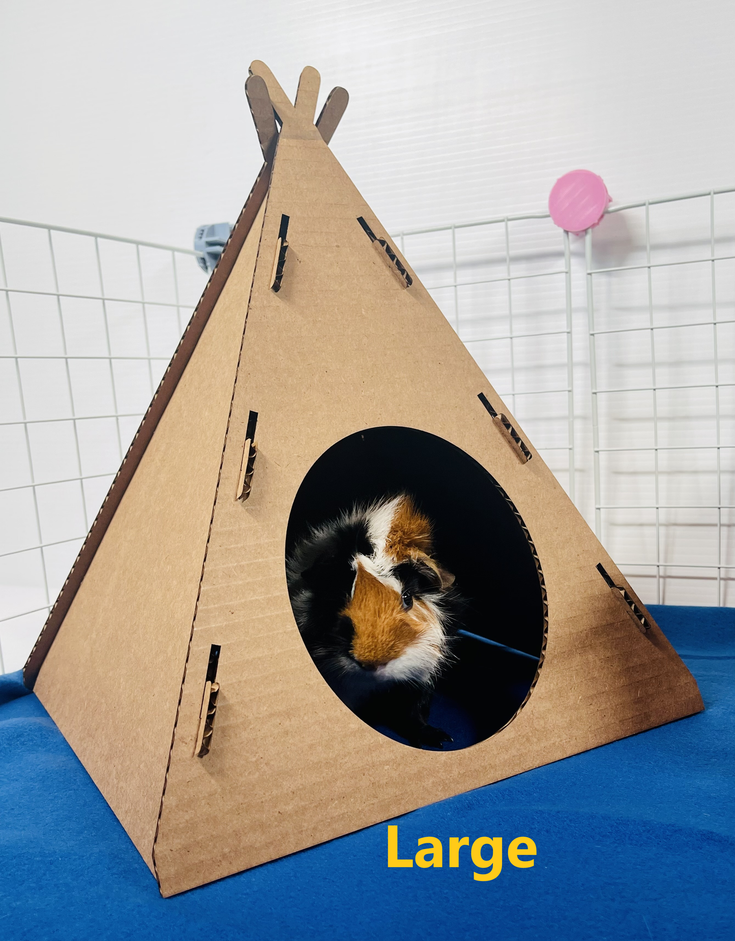 Cardboard Teepee Hidey