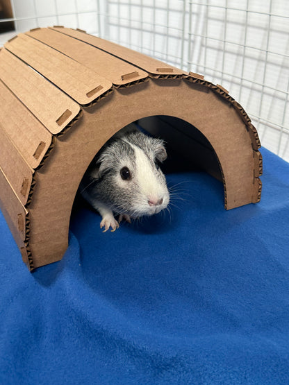 Cardboard Tunnel
