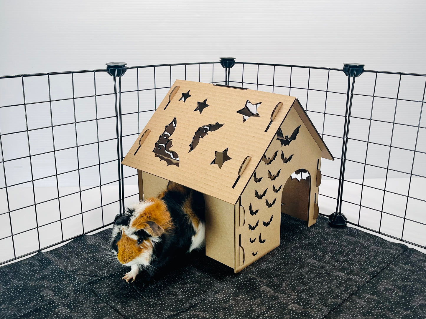 Cardboard Bat Hidey