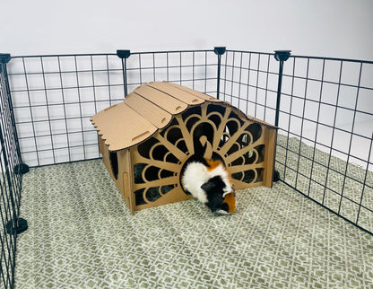 Cardboard Turkey Hidey