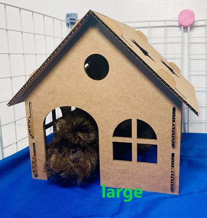 Cardboard Star Hidey